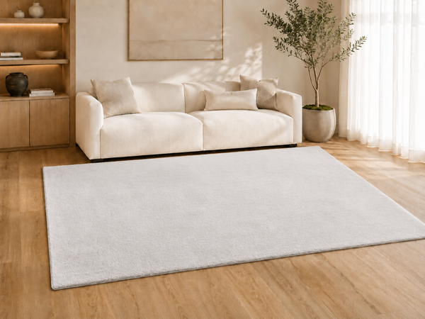 Covor Dumonde Whisper gri deschis 80x150 cm
